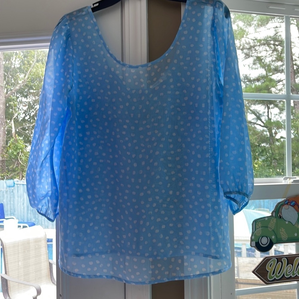 Beautiful sheer Blu Pepper blouse L